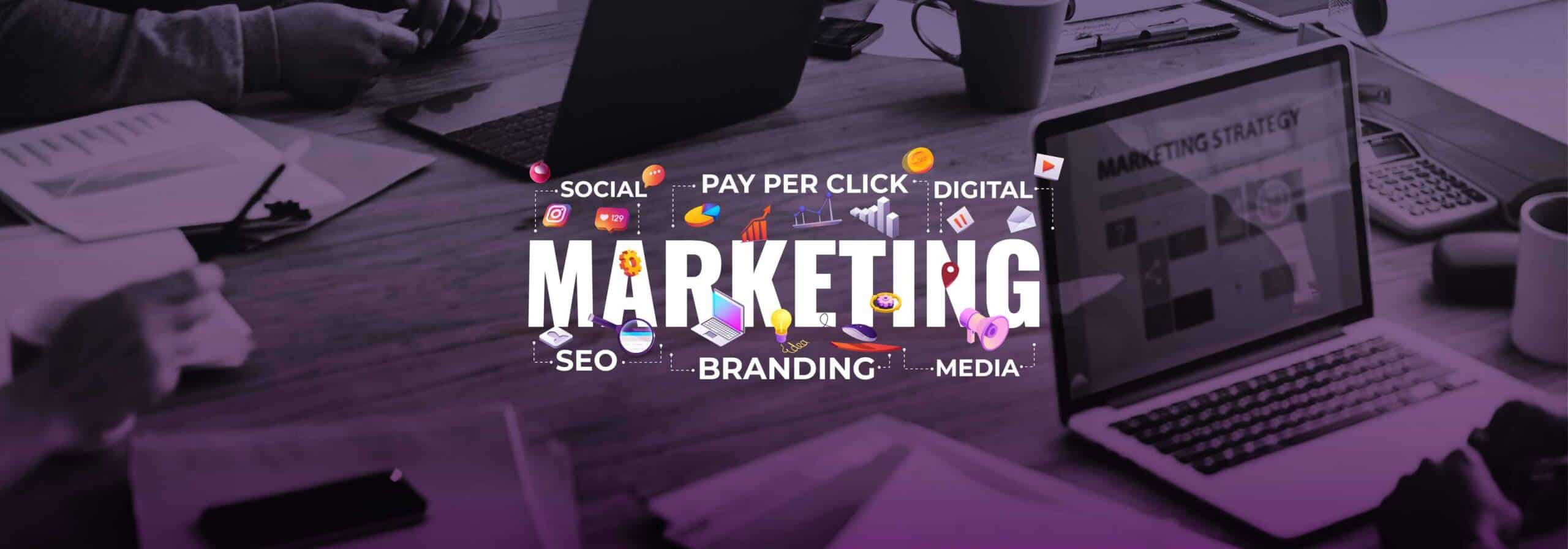 Digital Marketing Specialist