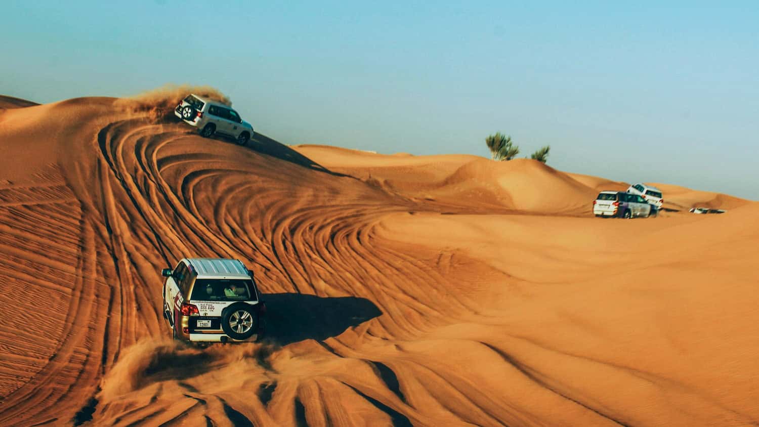 Dubai Desert Safari