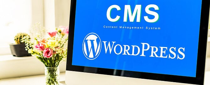 WordPress Development